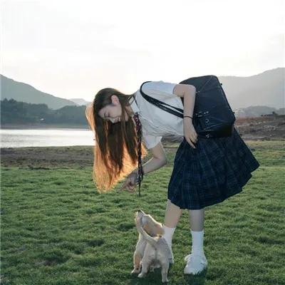绿萝花
