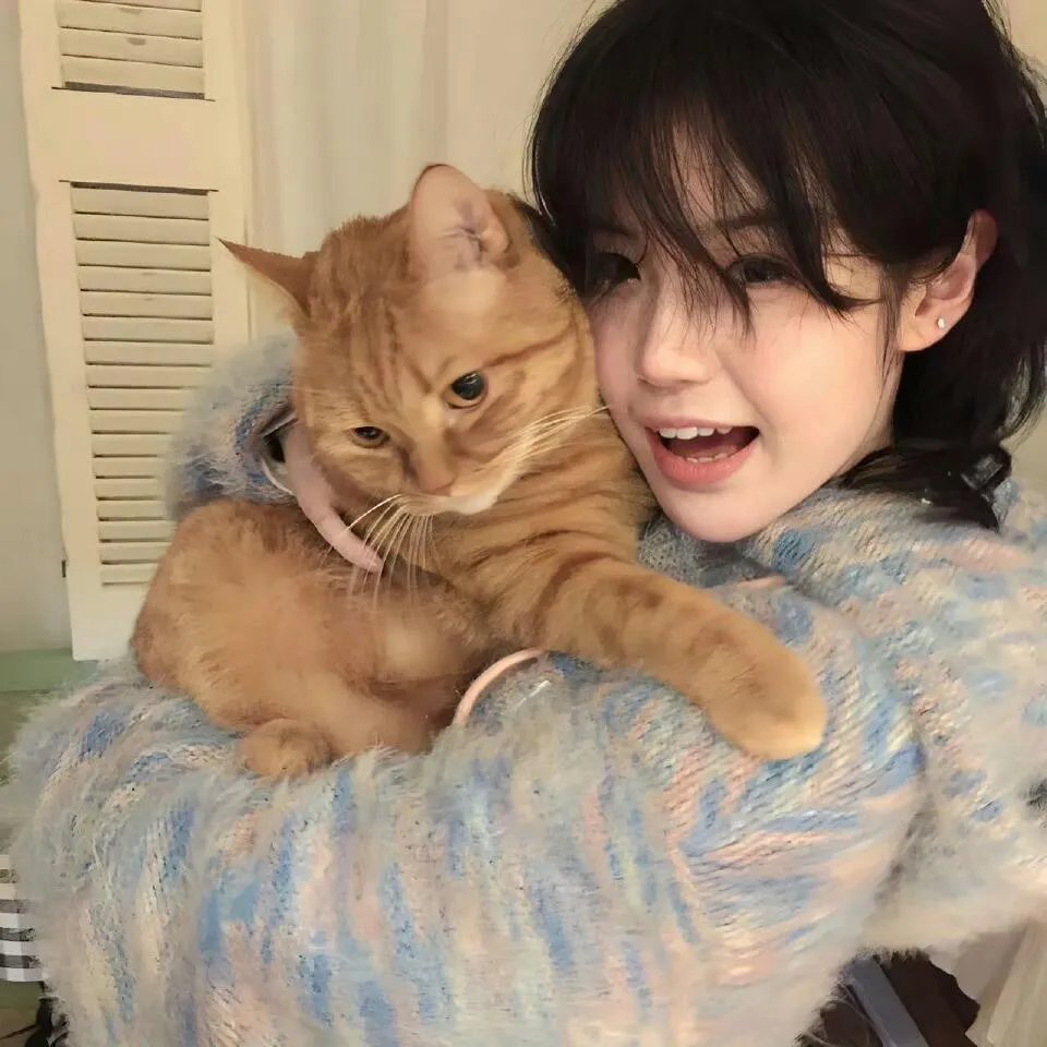 大李小李和老李